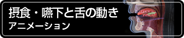 摂食・嚥下と舌の動き　アニメーション